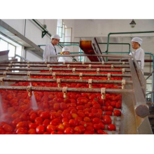 Tomato sauce production line